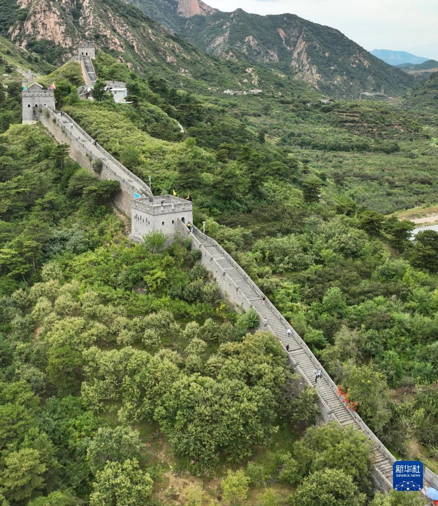 长龙捕鱼没有什么支付方式